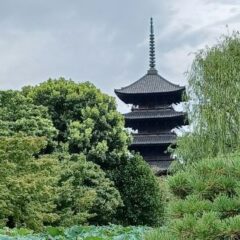 ８月の東寺